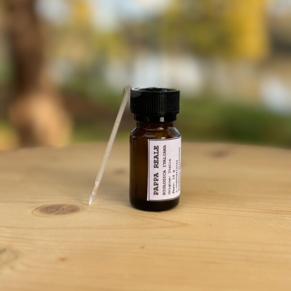 PAPPA REALE BIO ITALIANA 14G